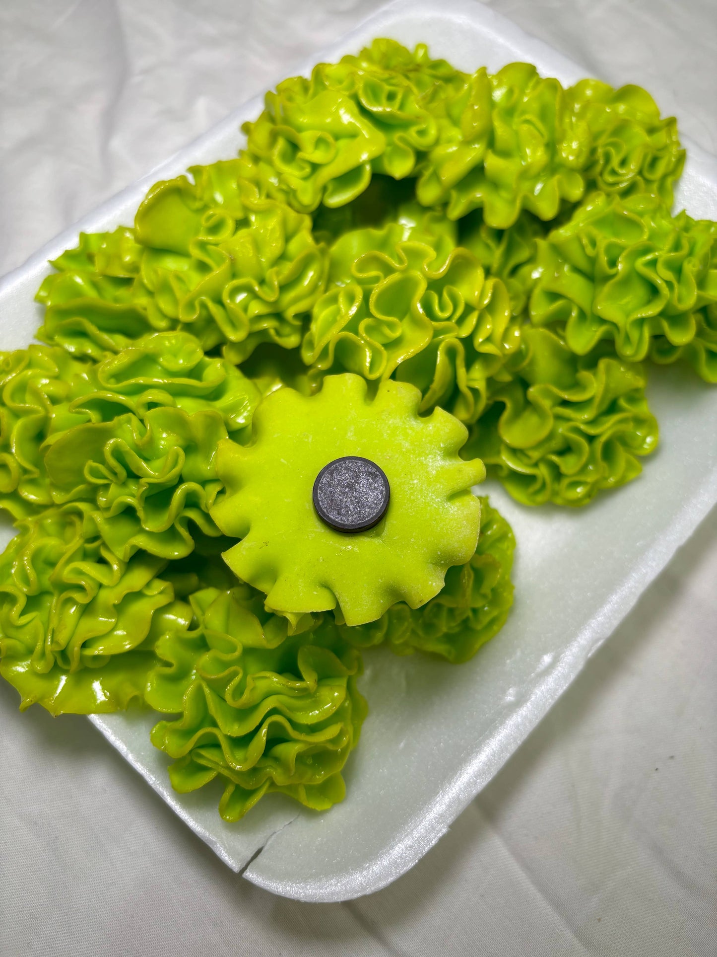 Lettuce Kitchen Magnet | Lettuce Eat!
