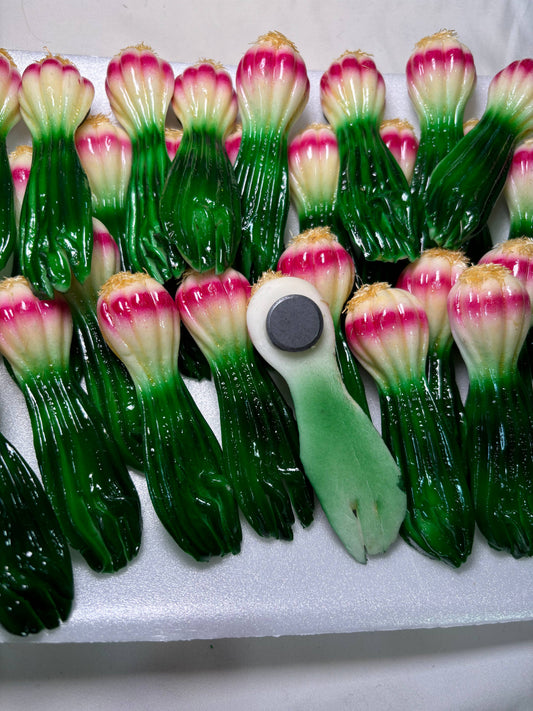 Green Long Onion Kitchen Magnet | Layers of Flavor