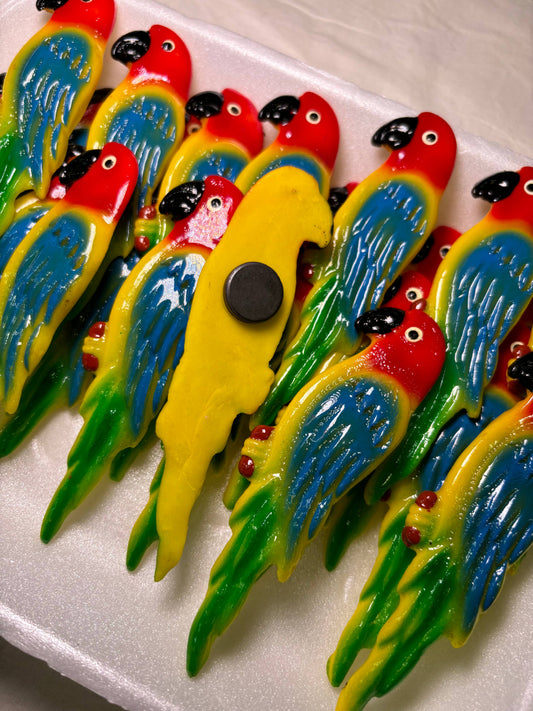 Solo Parrot Kitchen Magnet | Pretty Bird