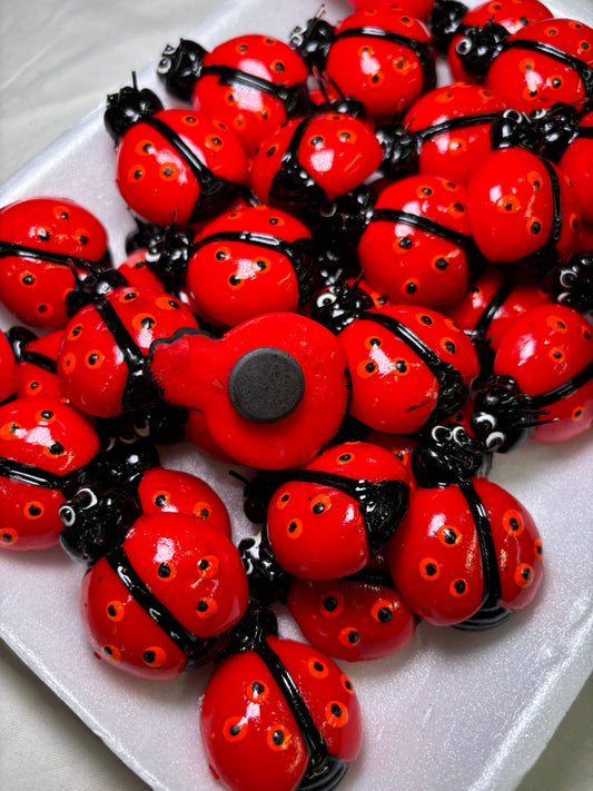 Ladybug Kitchen Magnet | Good Luck Charm