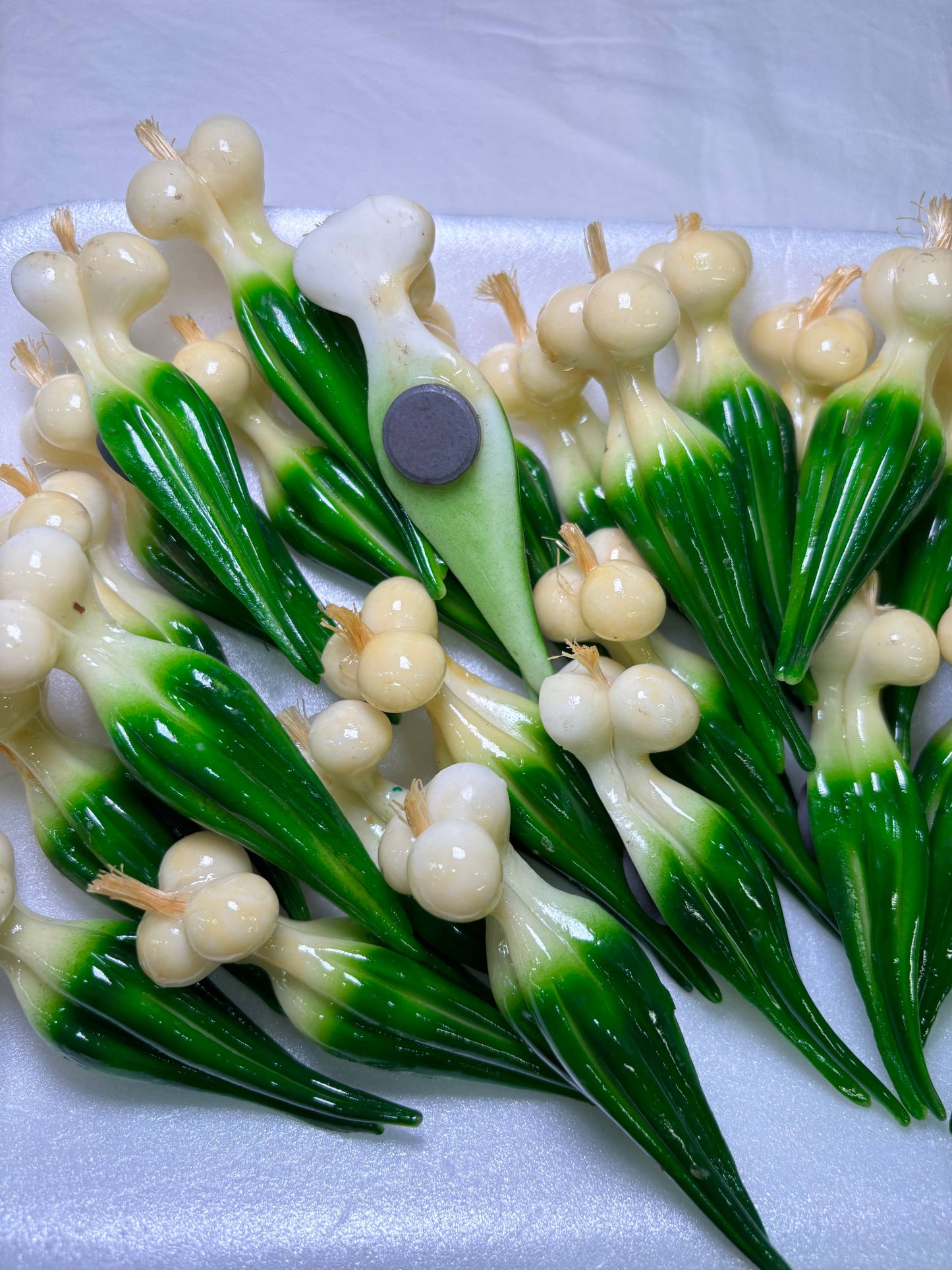 Scallions Kitchen Magnet | Green & Keen