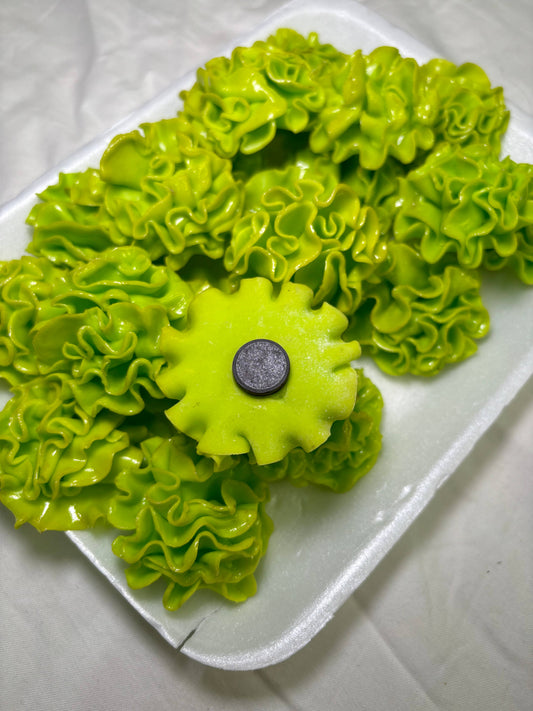 Lettuce Kitchen Magnet | Lettuce Eat!