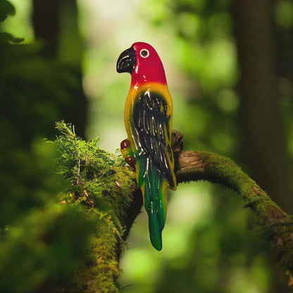 Solo Parrot Kitchen Magnet | Pretty Bird