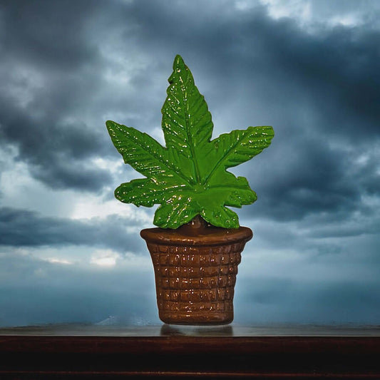 Green Plant in Pot Kitchen Magnet | Plant Parent Approved