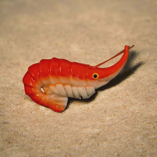 Shrimp Kitchen Magnet | Catch of the Day