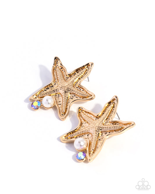 Starfish Sensation