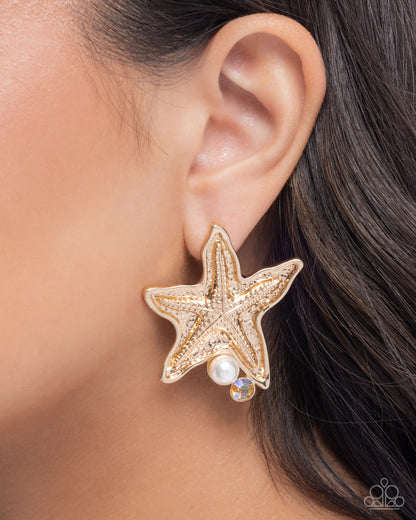 Starfish Sensation