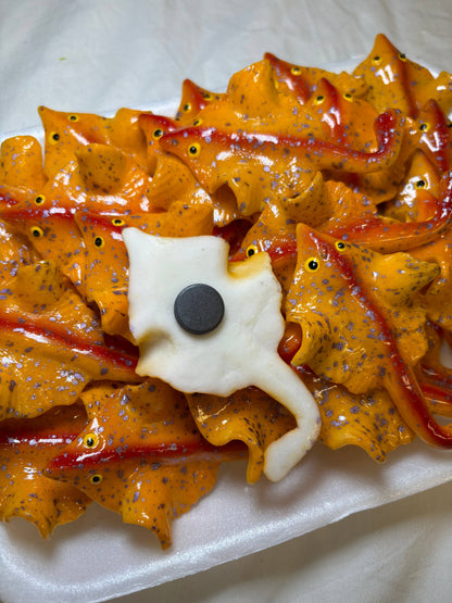 Stingray Kitchen Magnet | Ray of Fun