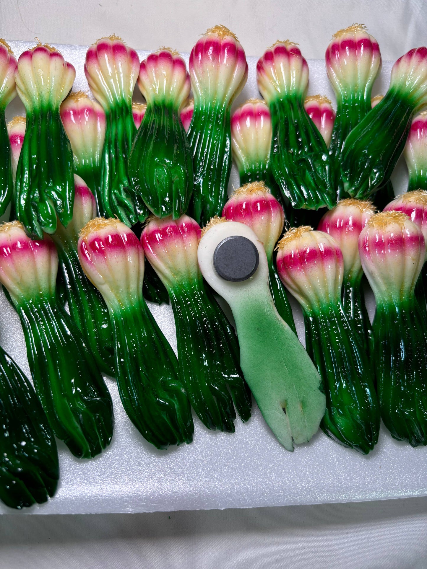 Green Long Onion Kitchen Magnet | Layers of Flavor